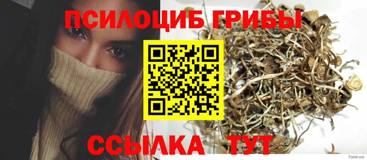 Галлюциногенные грибы ЛСД Кызыл